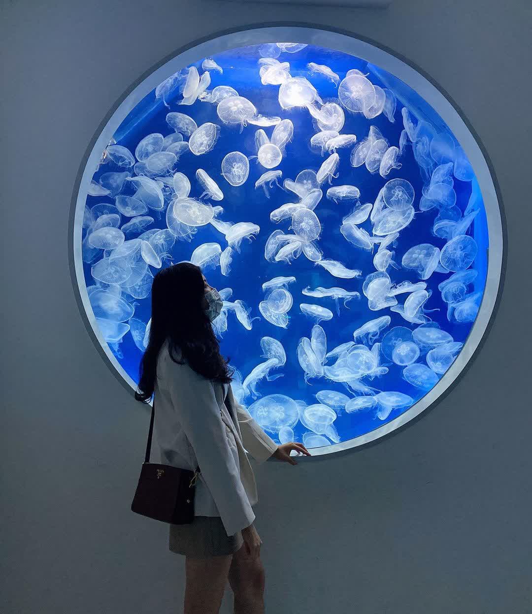 Xpark 水族館 | 去趣 chicTrip
