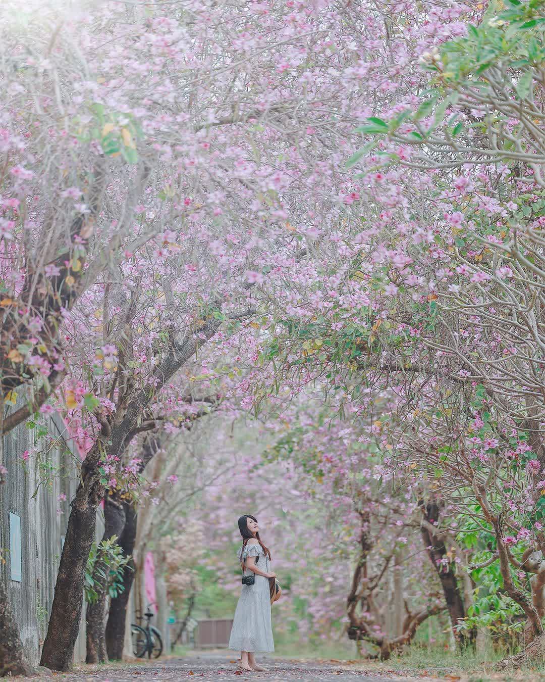 潭雅神綠園道 | 去趣 chicTrip