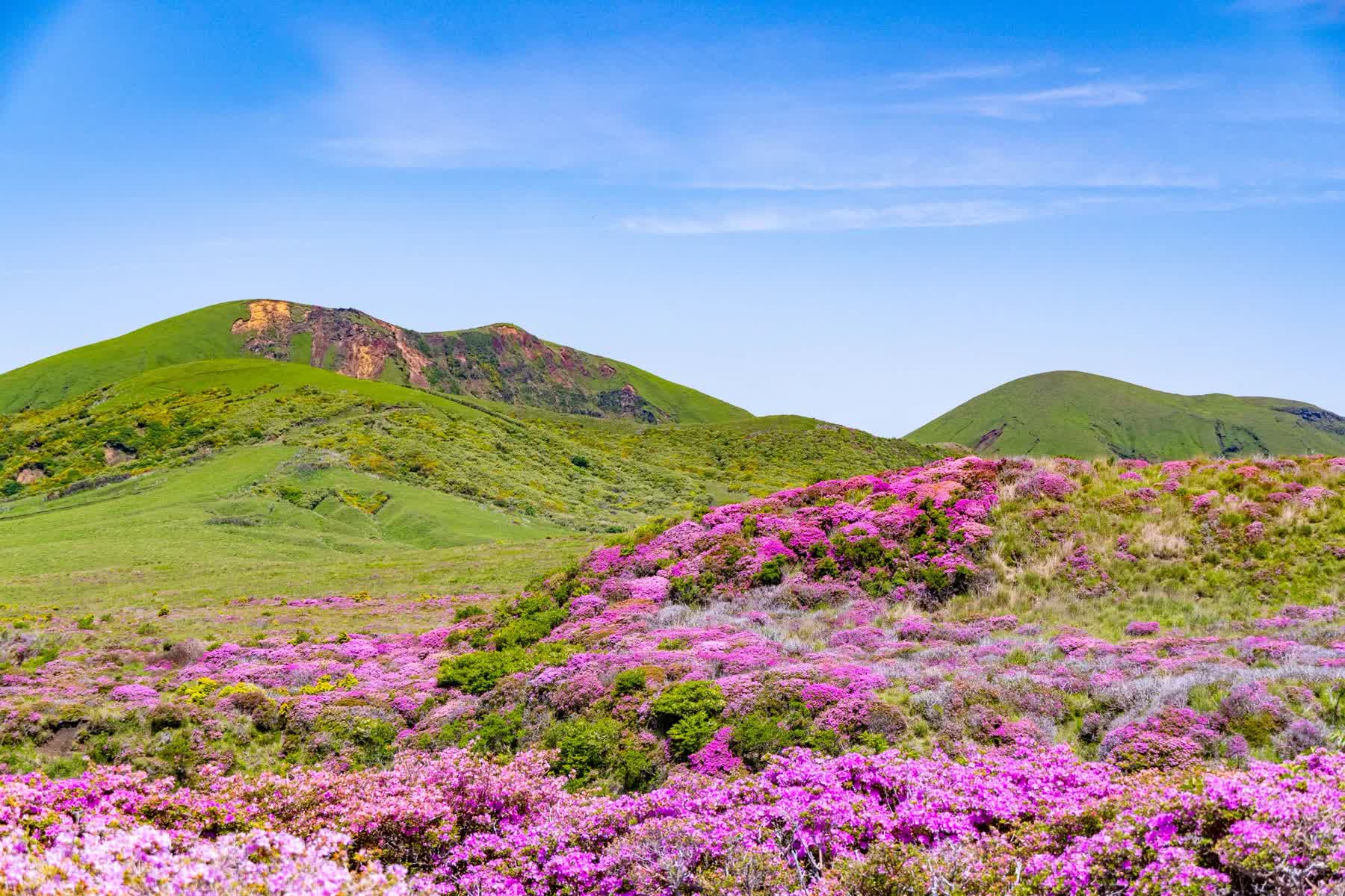 阿蘇山上廣場 | 去趣 chicTrip