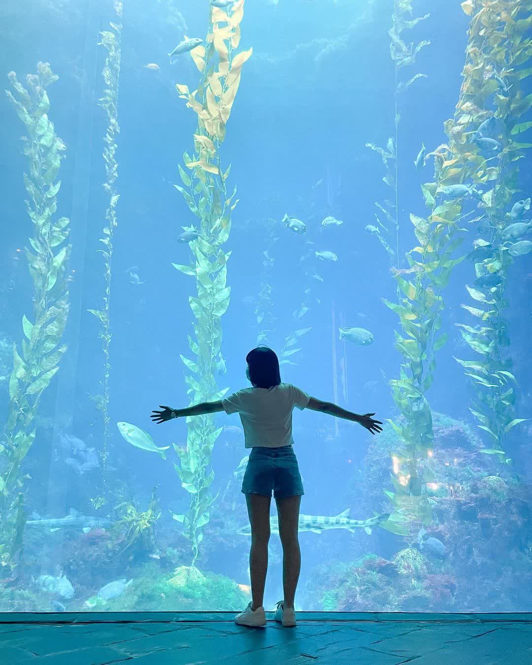 國立海洋生物博物館 | 去趣 chicTrip