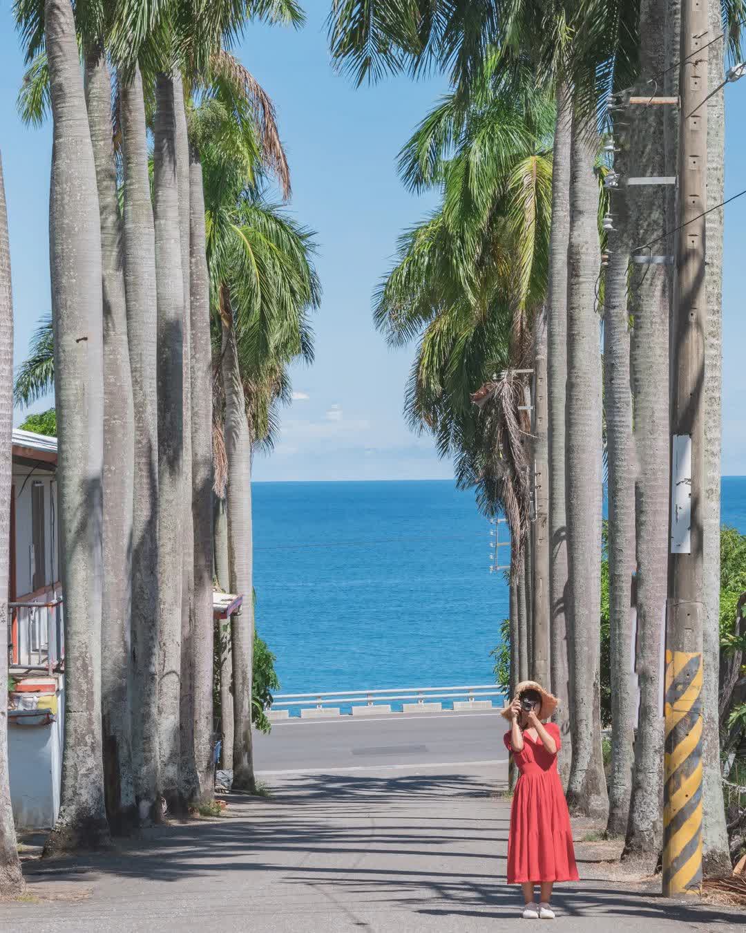 華源椰林大道 | 去趣 chicTrip