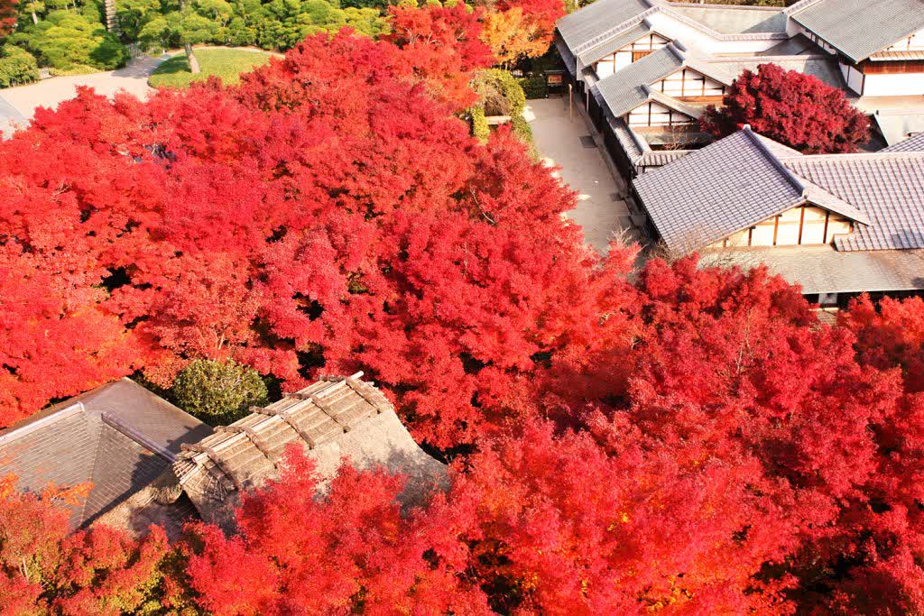 MOA美術館 | 去趣 chicTrip