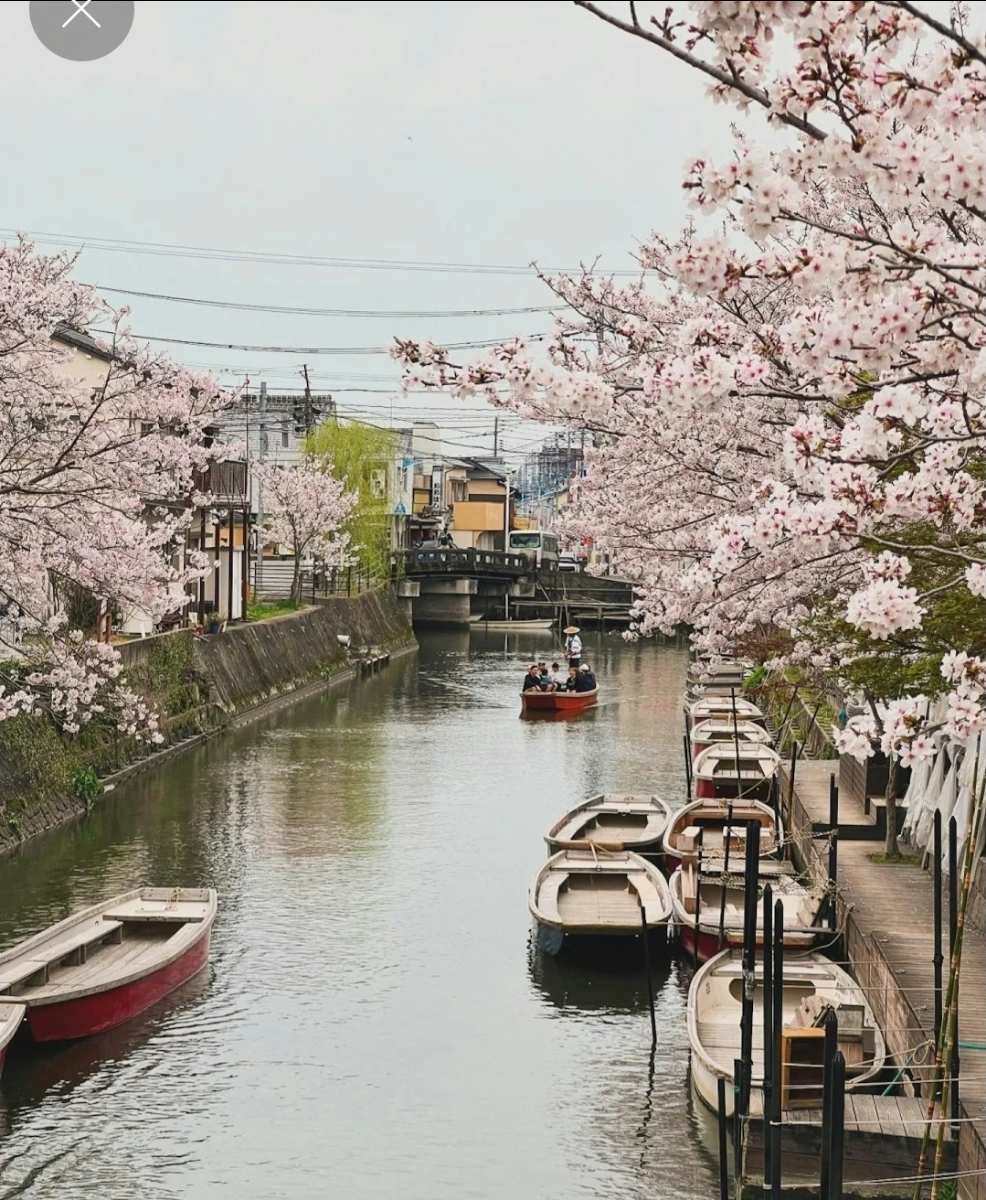 柳川觀光開發(株) 松月乘船場 | 去趣 chicTrip