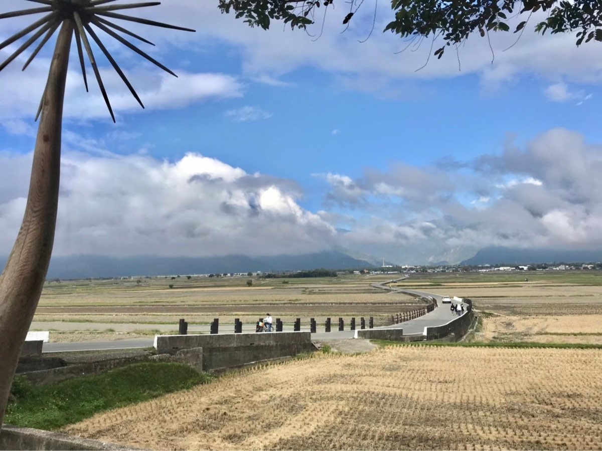 臺東池上錦新三號道路 伯朗大道 | 去趣 chicTrip