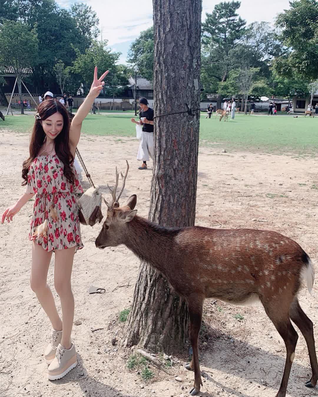 奈良公園 | 去趣 chicTrip