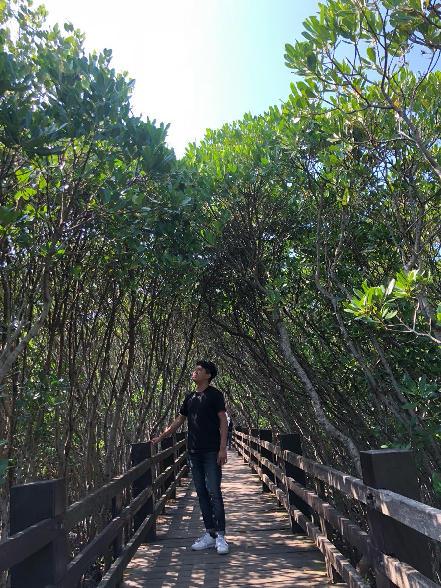 新豐紅樹林生態保護區 | 去趣 chicTrip