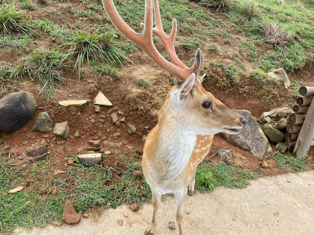 大坵島 | 去趣 chicTrip
