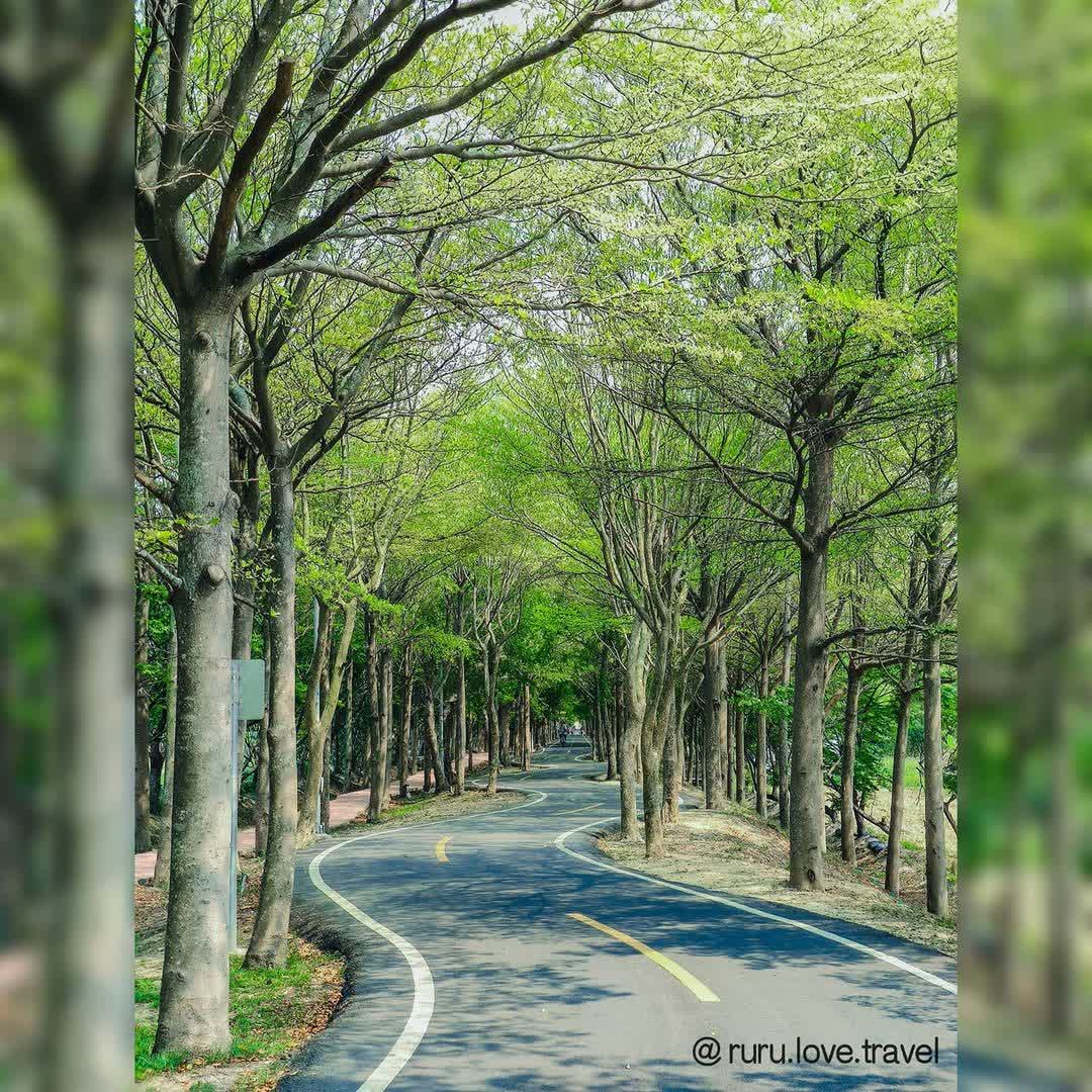 潭雅神綠園道 | 去趣 chicTrip