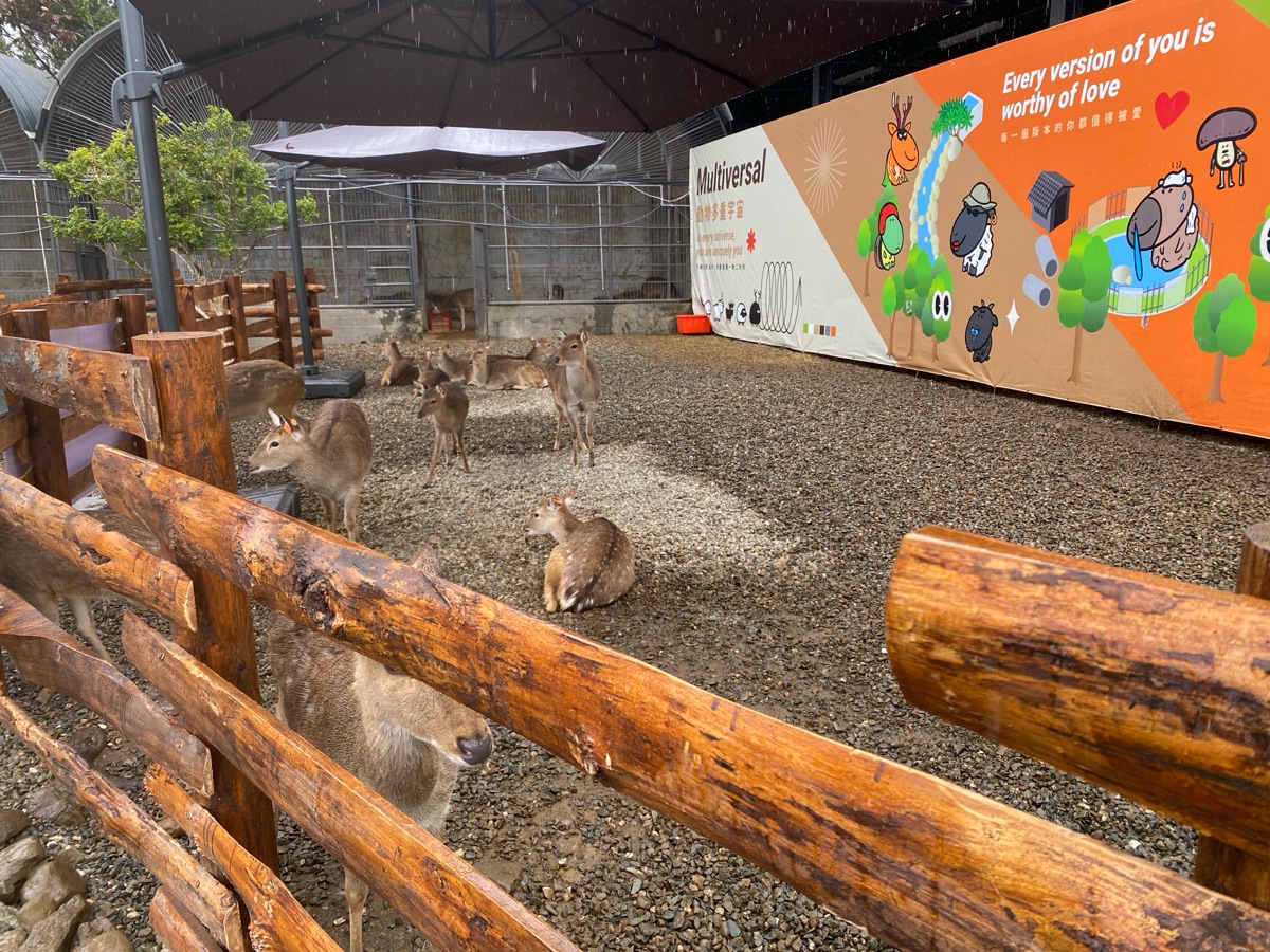 鹿芝谷生態景觀園區【試營運】 | 去趣 chicTrip