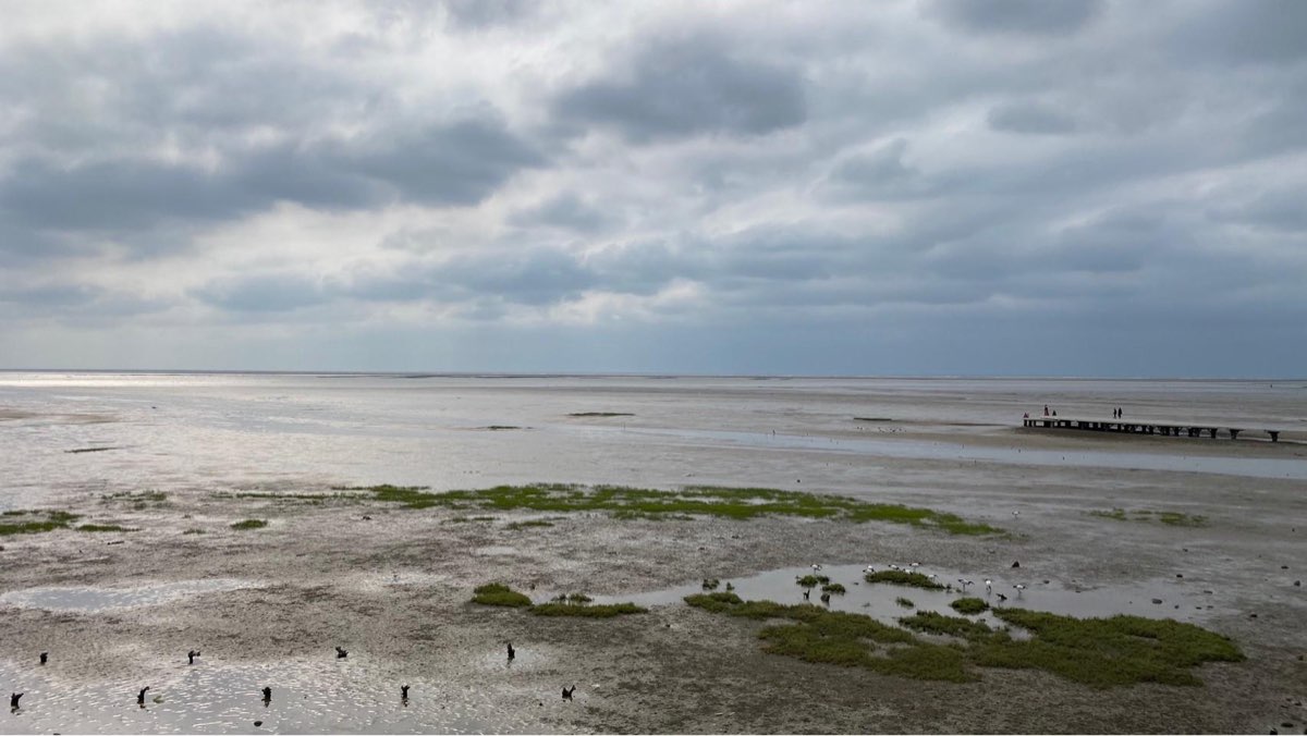 香山濕地 | 去趣 chicTrip