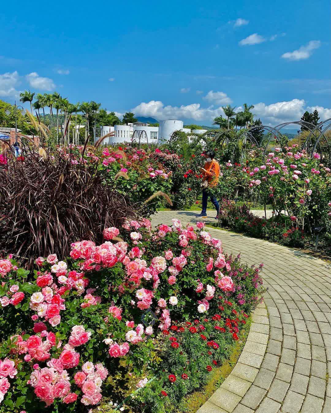 花露農場 Flower Home | 去趣 chicTrip