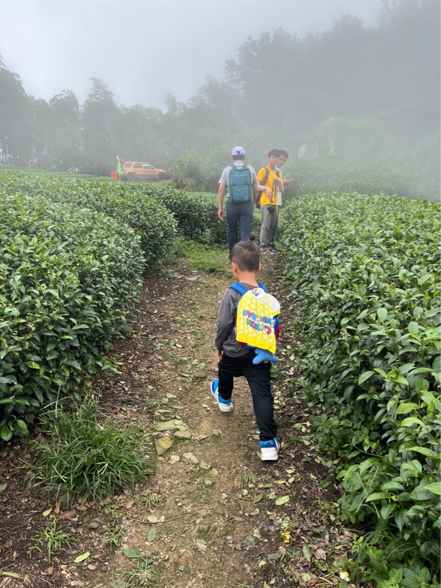 二延平步道 | 去趣 chicTrip