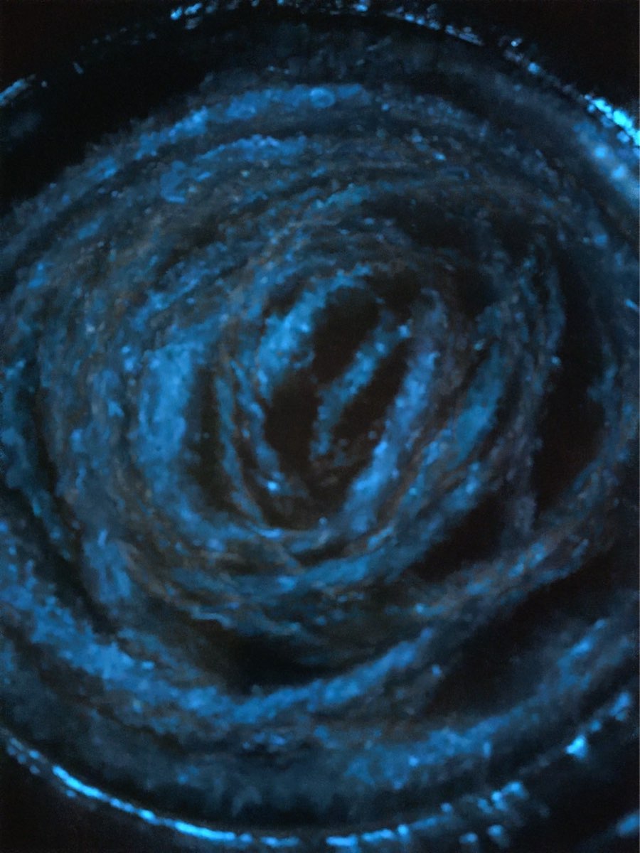 藍眼淚生態館 | 去趣 chicTrip