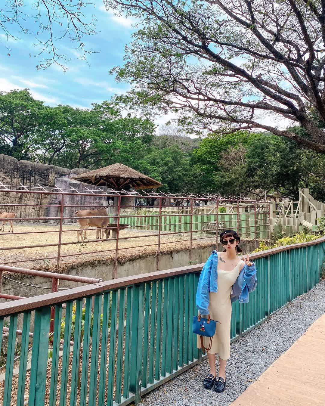 壽山動物園 | 去趣 chicTrip