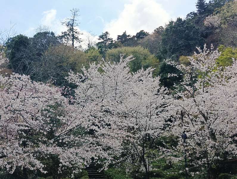 打吹公園 | 去趣 chicTrip