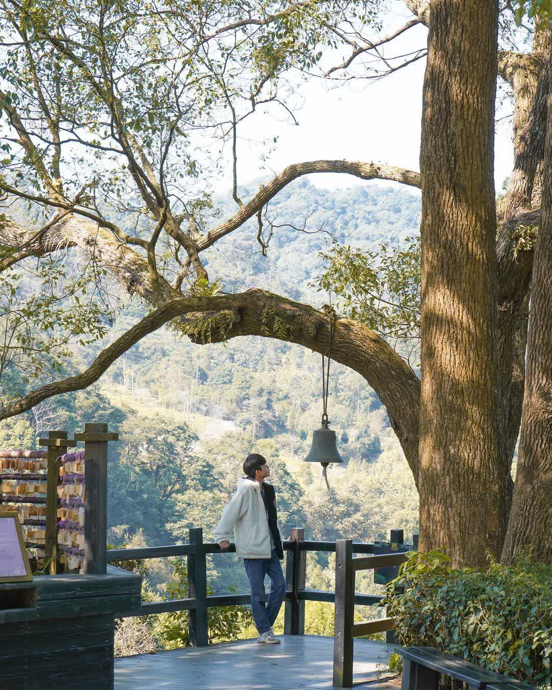 薰衣草森林台中新社店 | 去趣 chicTrip