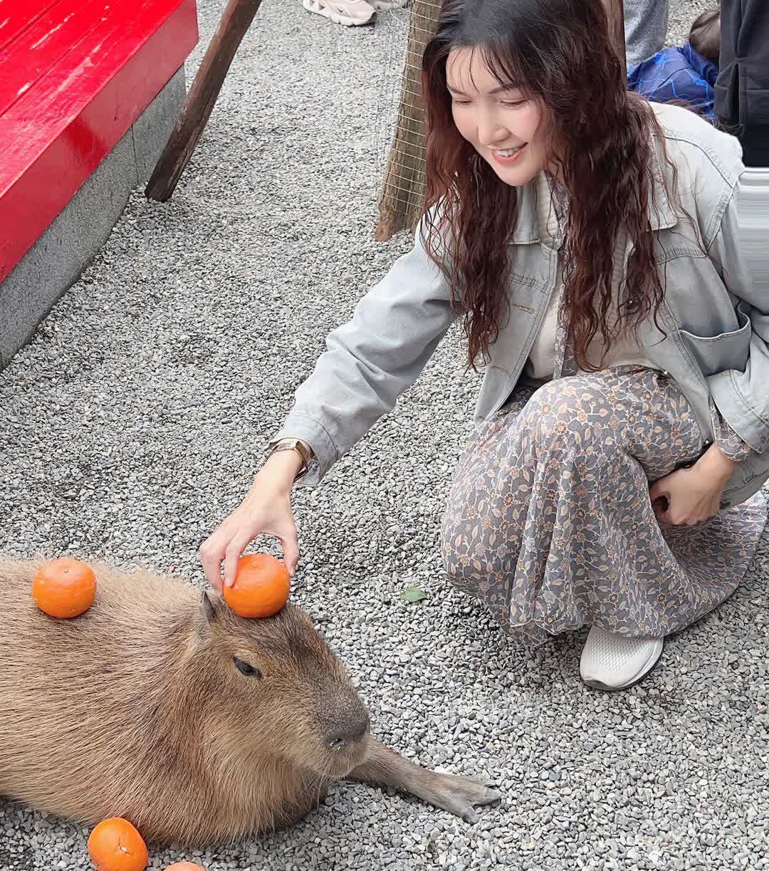 張美阿嬤農場（月森甯手作工坊） | 去趣 chicTrip