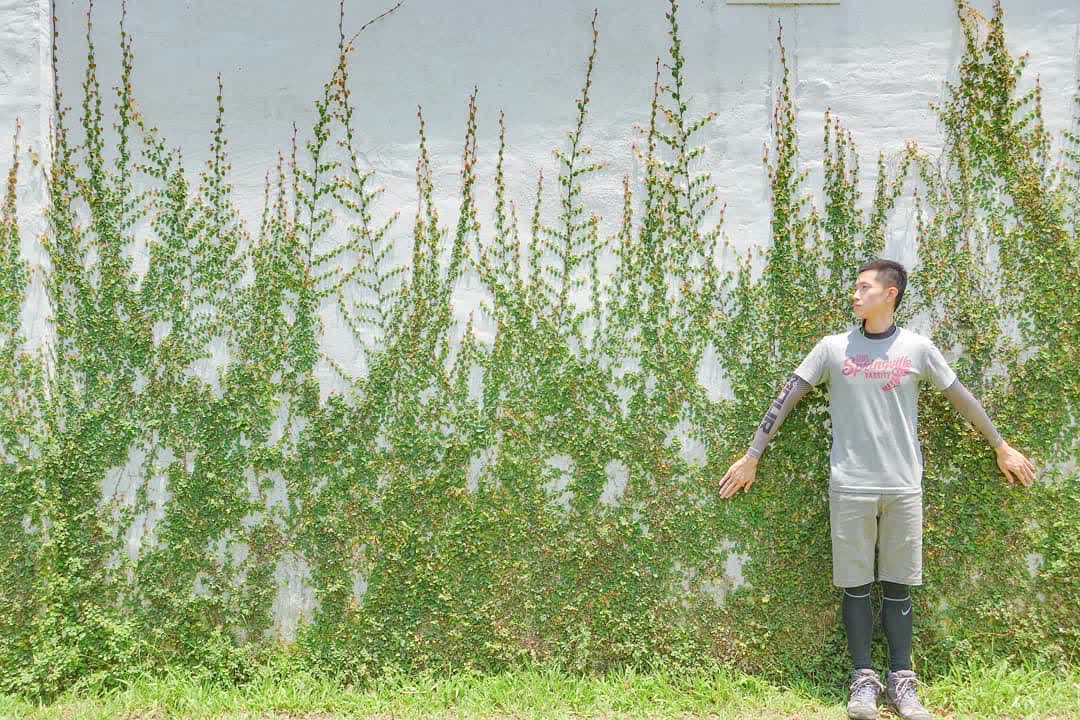 大溪老茶廠 | 去趣 chicTrip