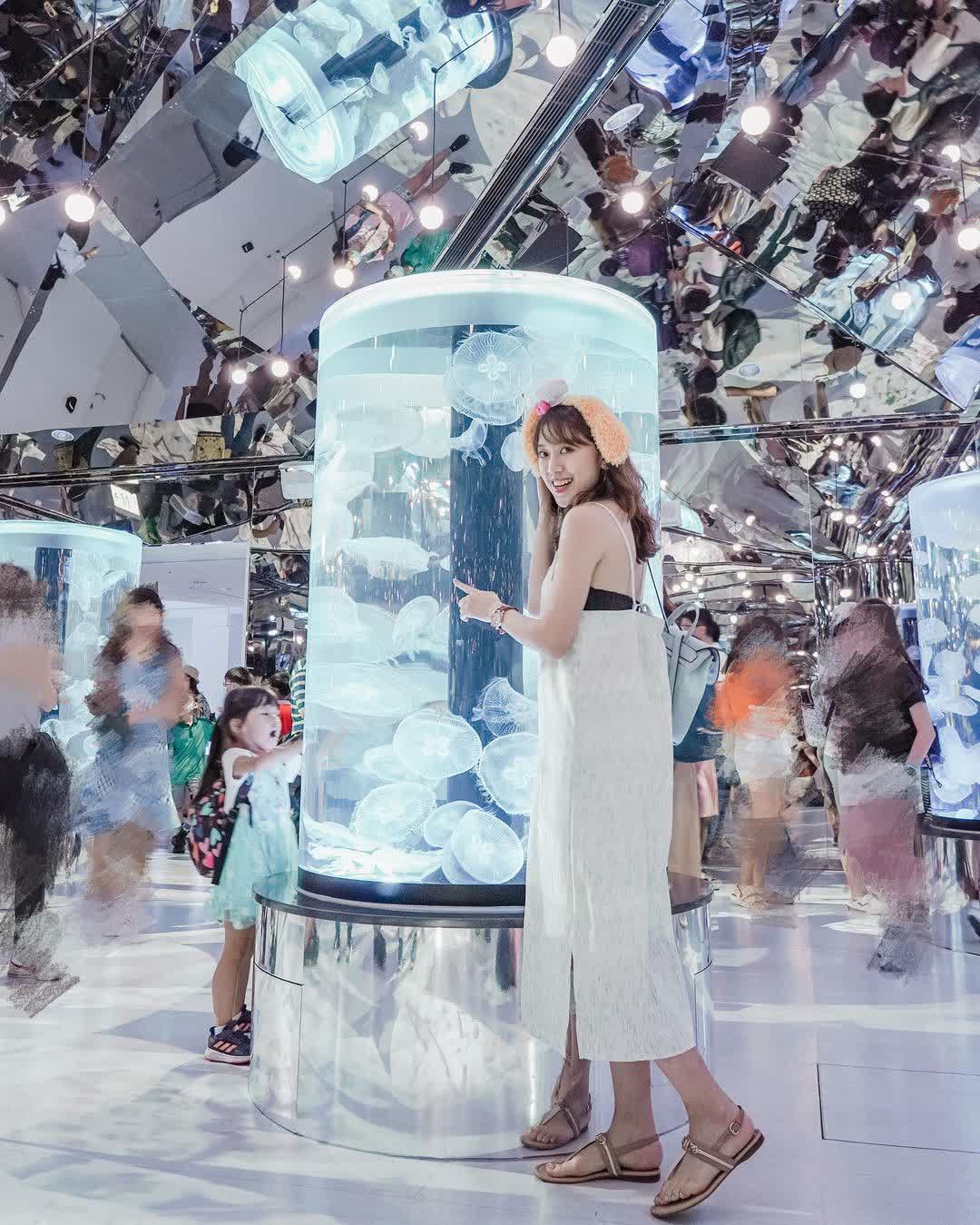 Xpark 水族館 | 去趣 chicTrip