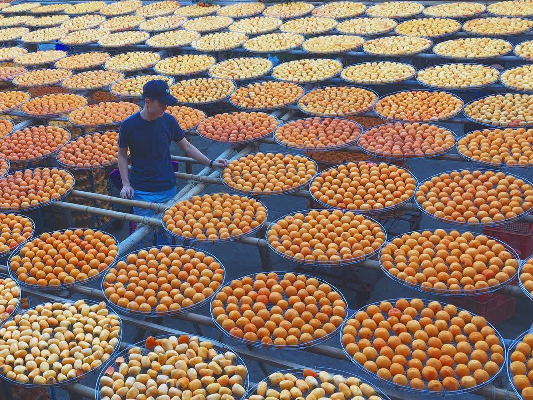 味衛佳柿餅教育農園 | 去趣 chicTrip