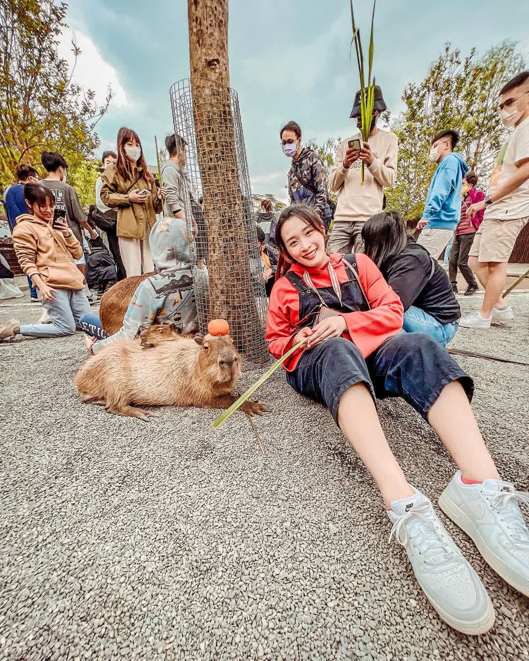 張美阿嬤農場（月森甯手作工坊） | 去趣 chicTrip