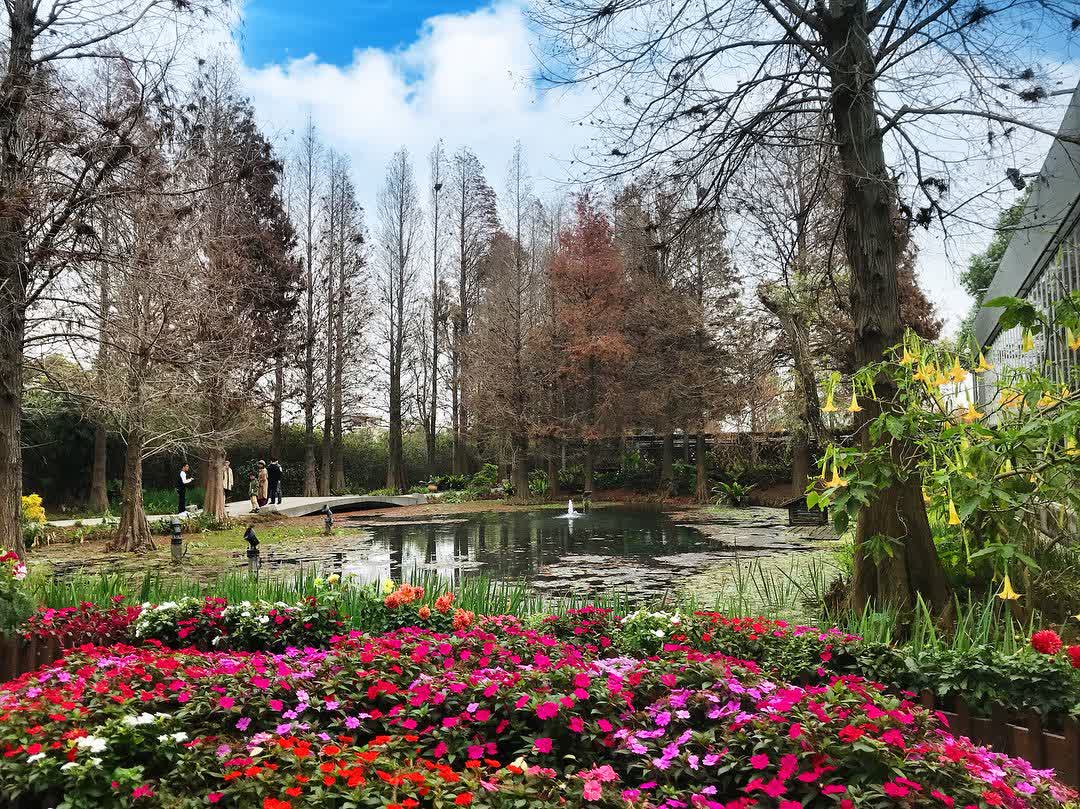 菁芳園 落羽松景觀餐廳 | 去趣 chicTrip