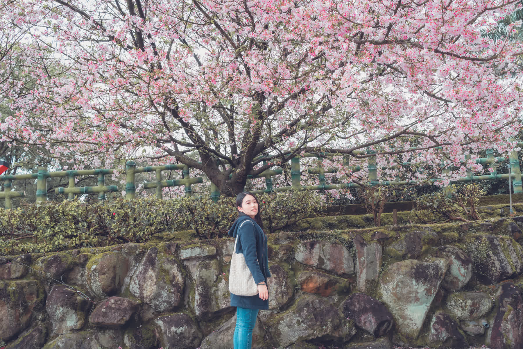 無極天元宮 | 去趣 chicTrip