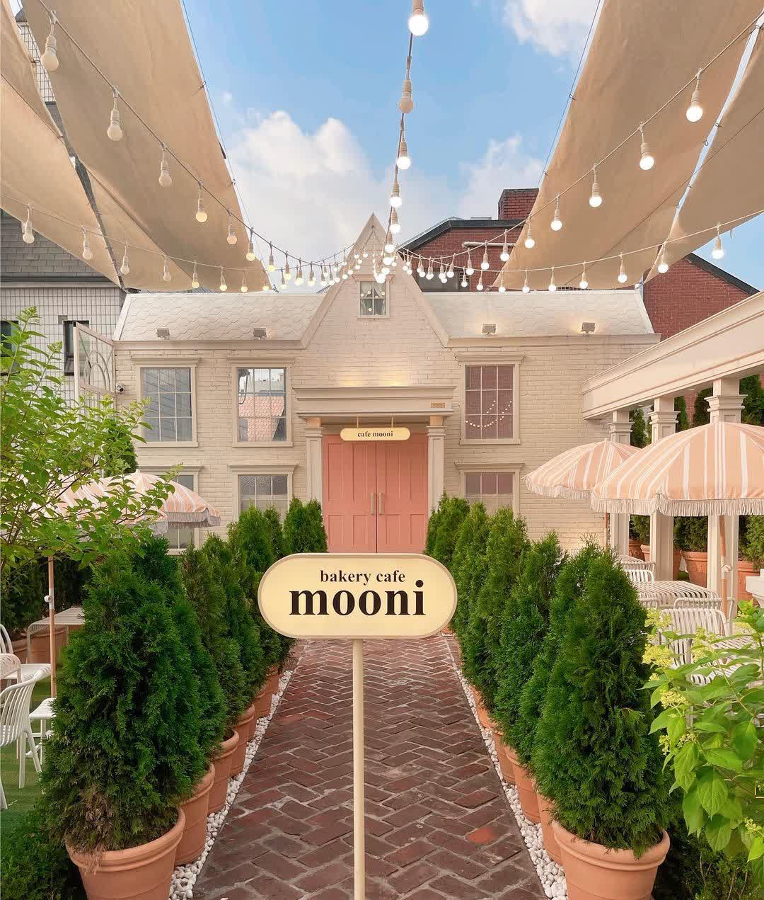 Café Mooni Apgujeong | 去趣 chicTrip