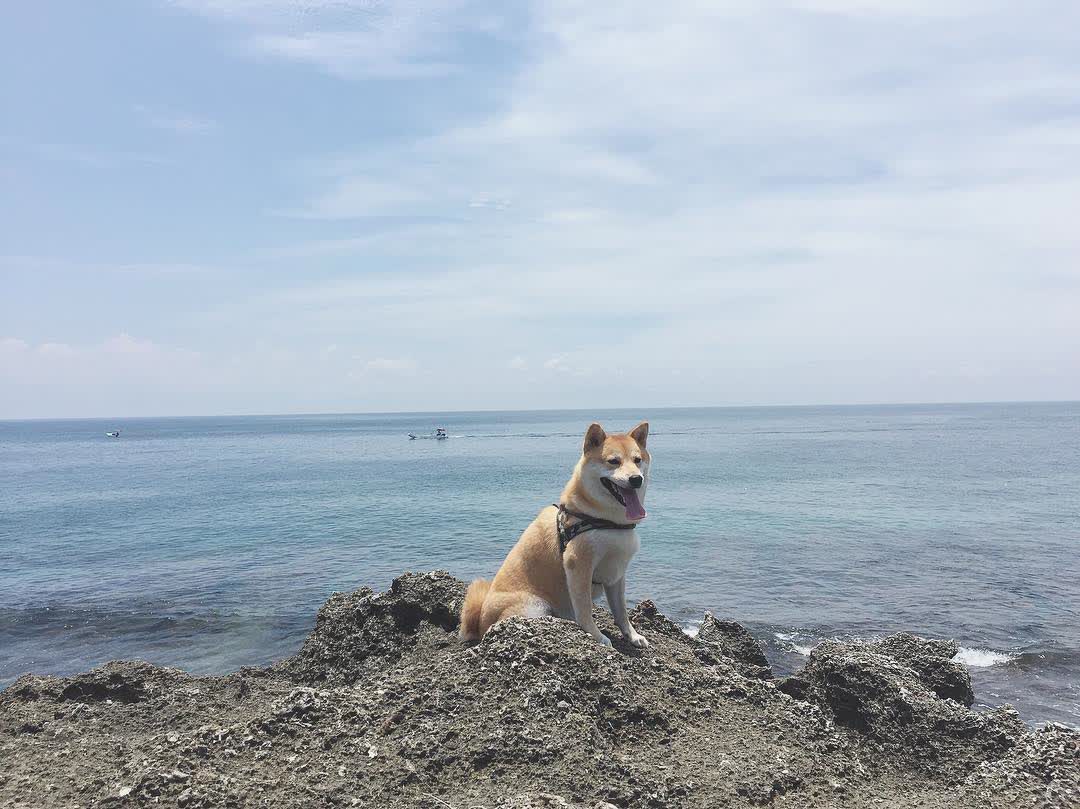 琉球嶼 | 去趣 chicTrip