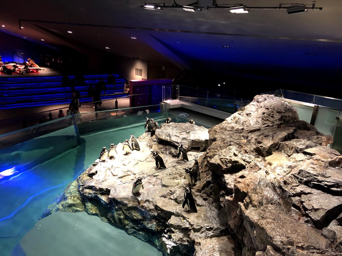 墨田水族館 | 去趣 chicTrip