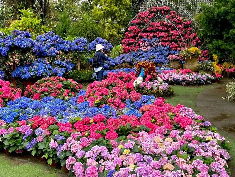 花露農場 Flower Home | 去趣 chicTrip