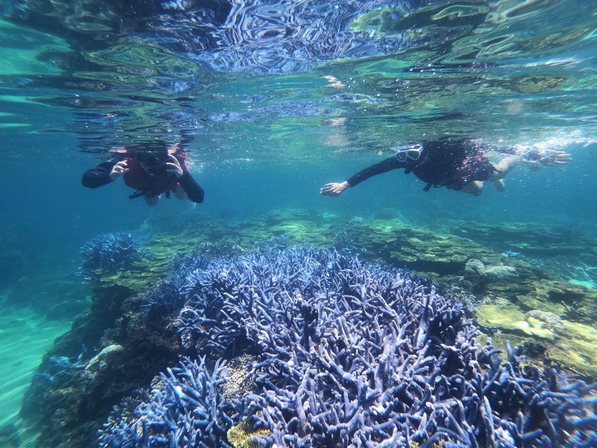 金瓜仔礁（忘憂島） | 去趣 chicTrip