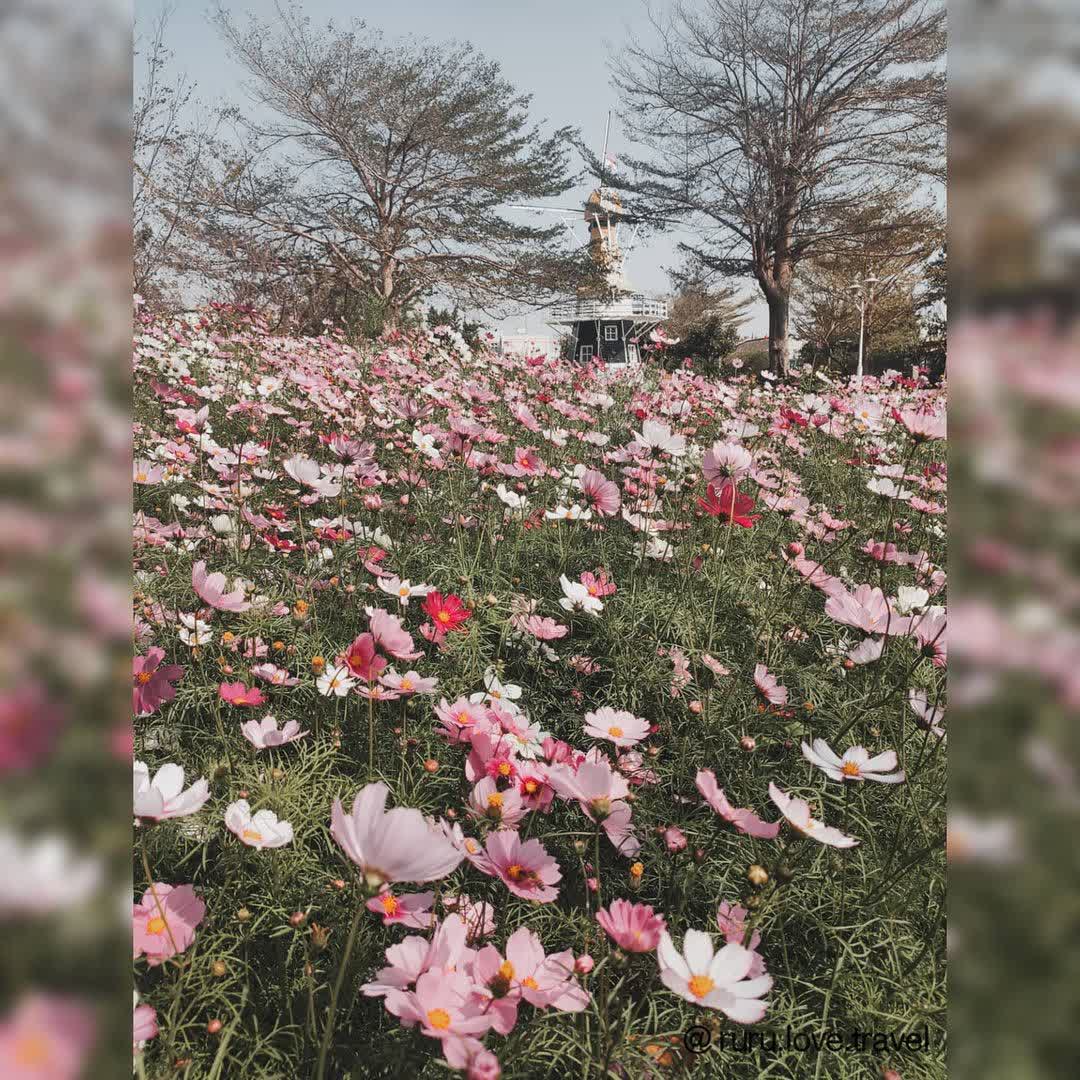 北汕尾媽祖宮鹿耳門天后宮 | 去趣 chicTrip
