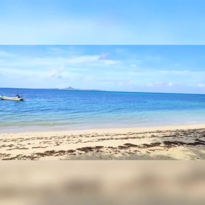 Bise-Fukugi Tree Road | 去趣 chicTrip