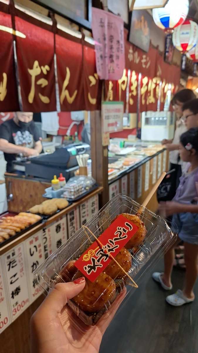 犬山城下町 昭和橫丁 | 去趣 chicTrip