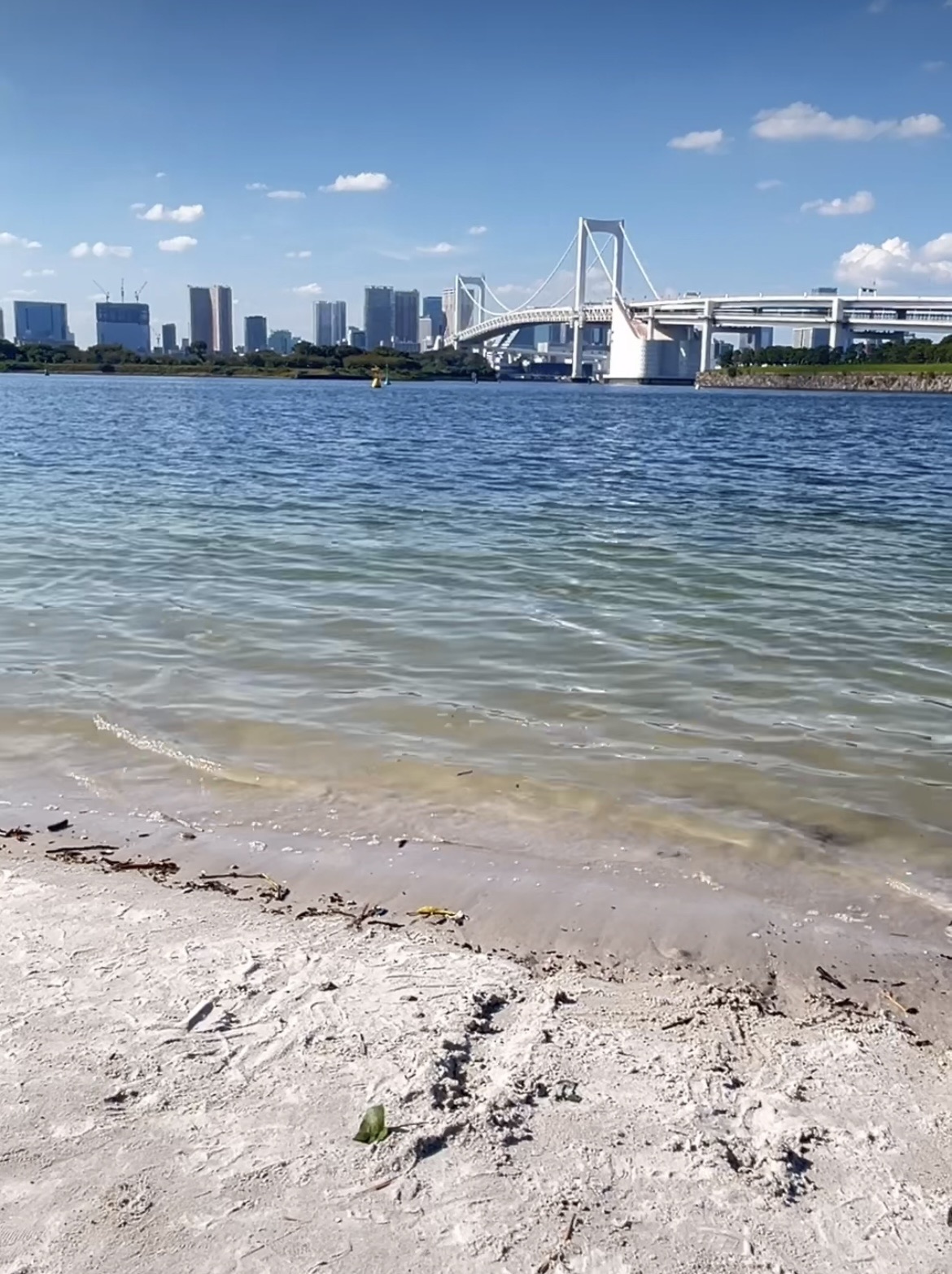 御台場海濱公園 | 去趣 chicTrip