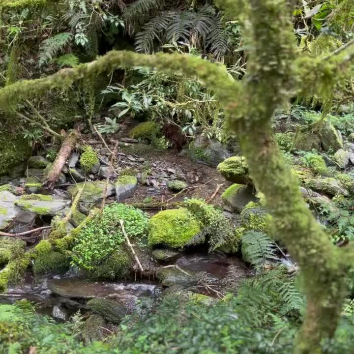 拉拉山 | 去趣 chicTrip