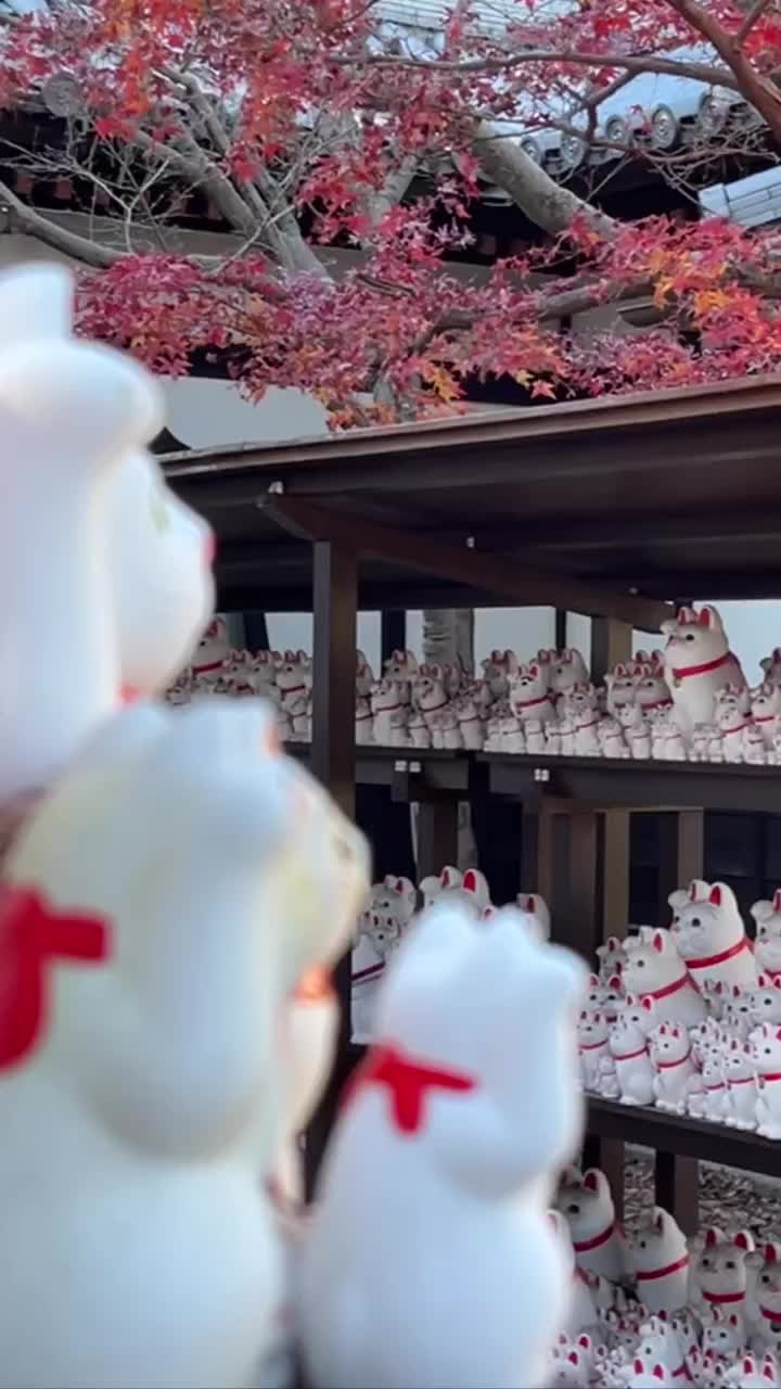 世田谷 豪德寺 | 去趣 chicTrip