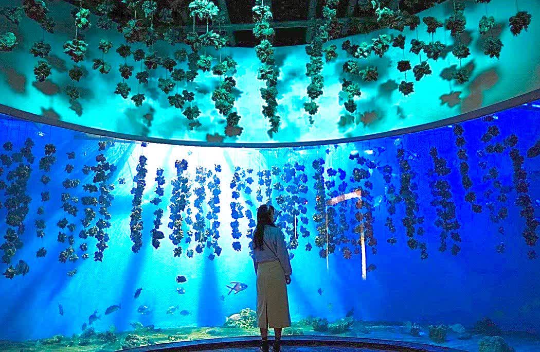 國立海洋生物博物館 | 去趣 chicTrip