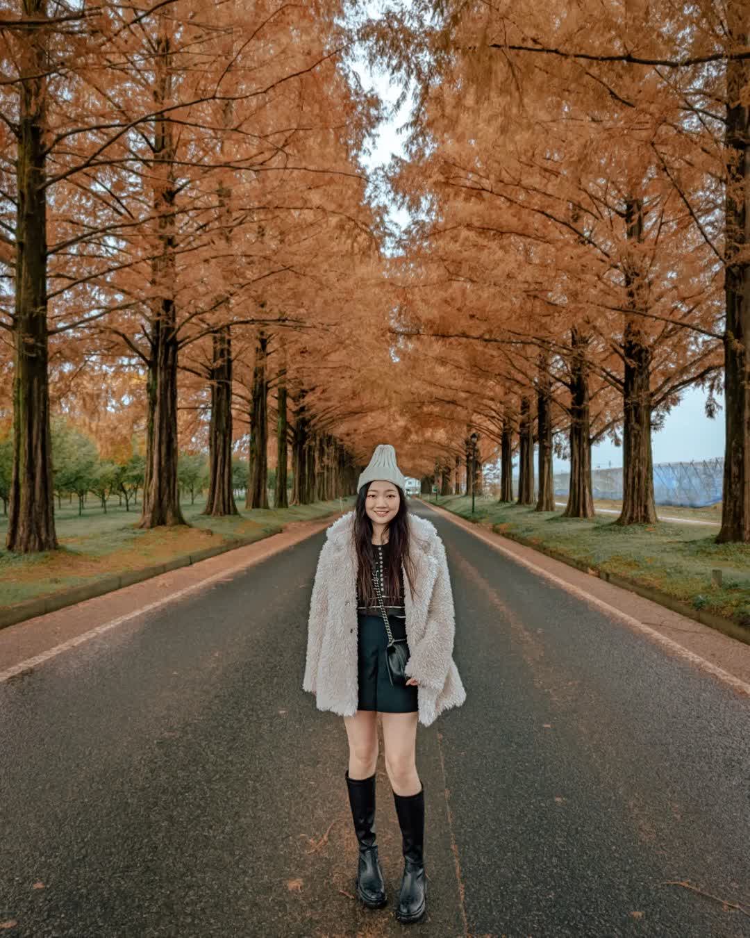 水杉大道 | 去趣 chicTrip