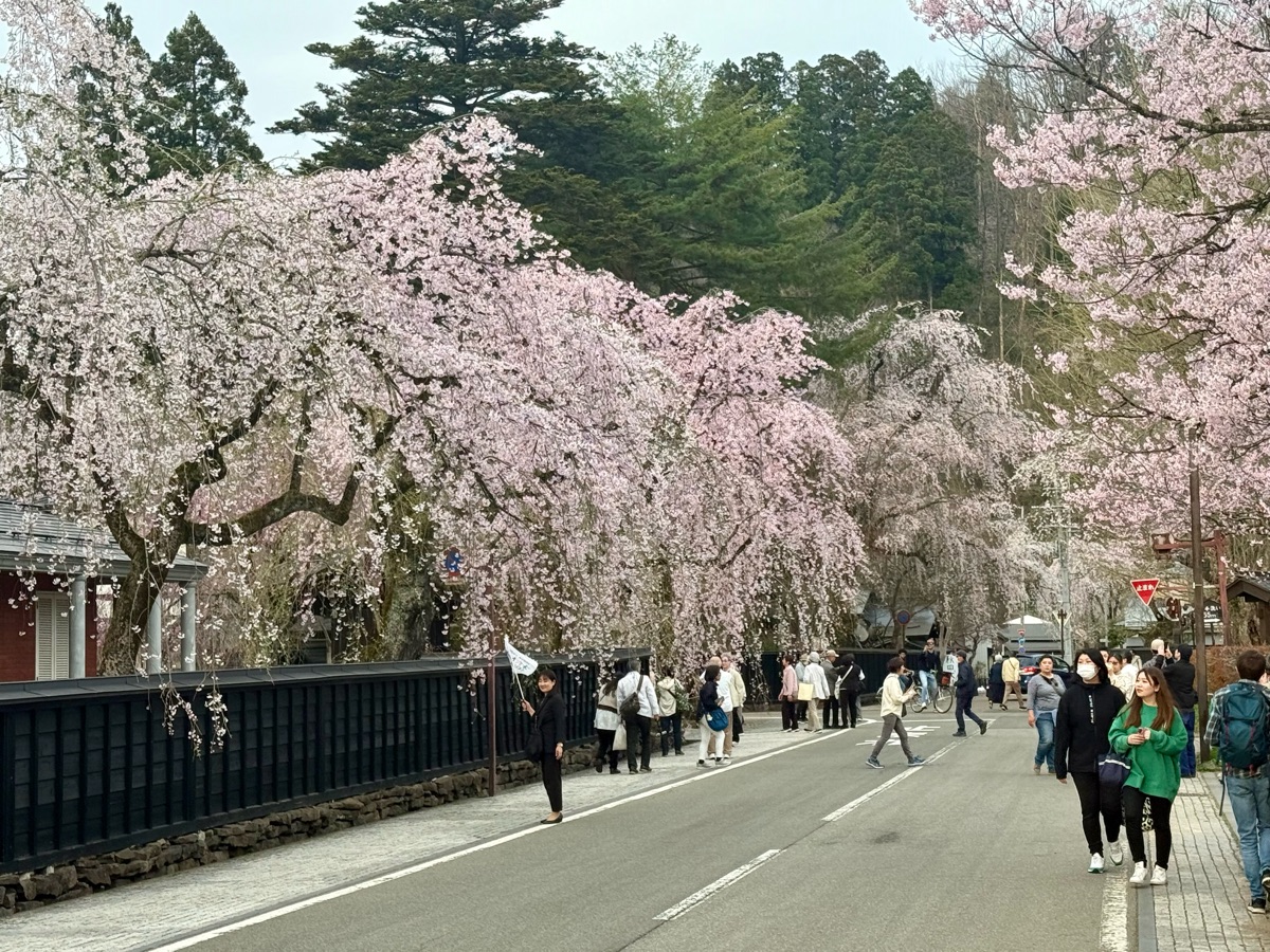 Kakunodate Samurai Residence Street | 去趣 chicTrip