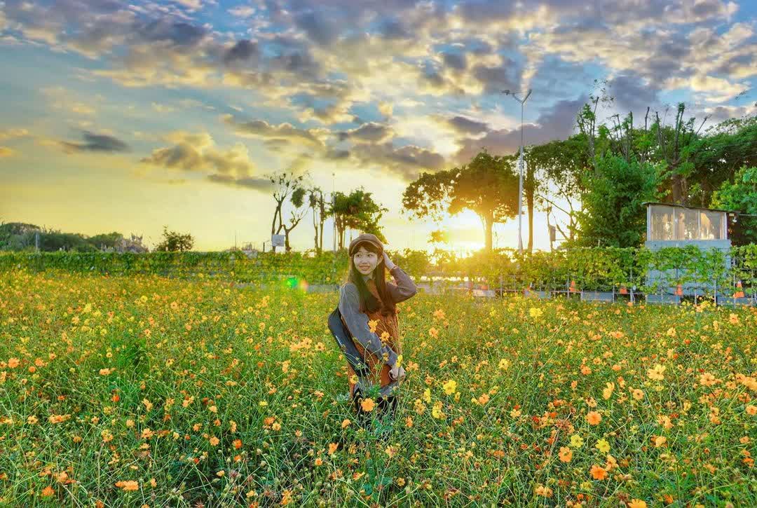 田尾公路花園 | 去趣 chicTrip