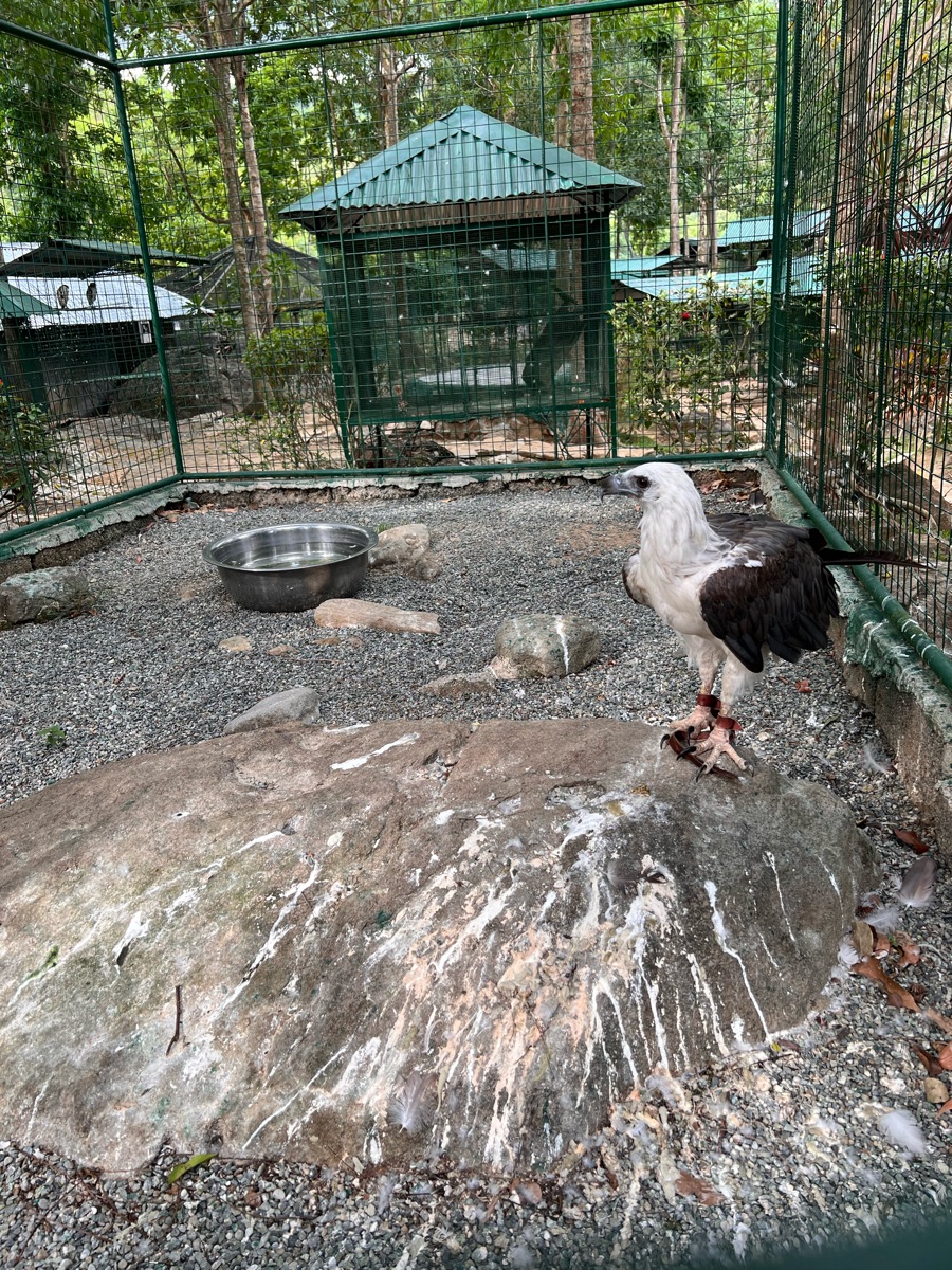 PUGAD Pugo Adventure | 去趣 chicTrip