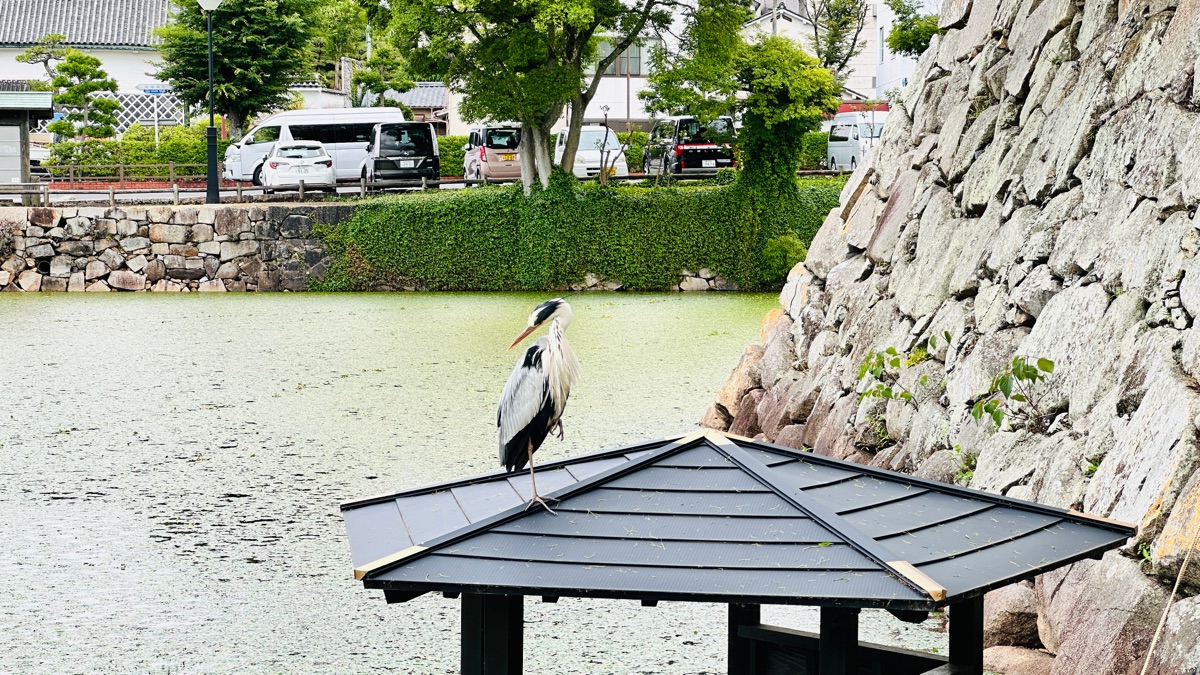 烏城公園 | 去趣 chicTrip