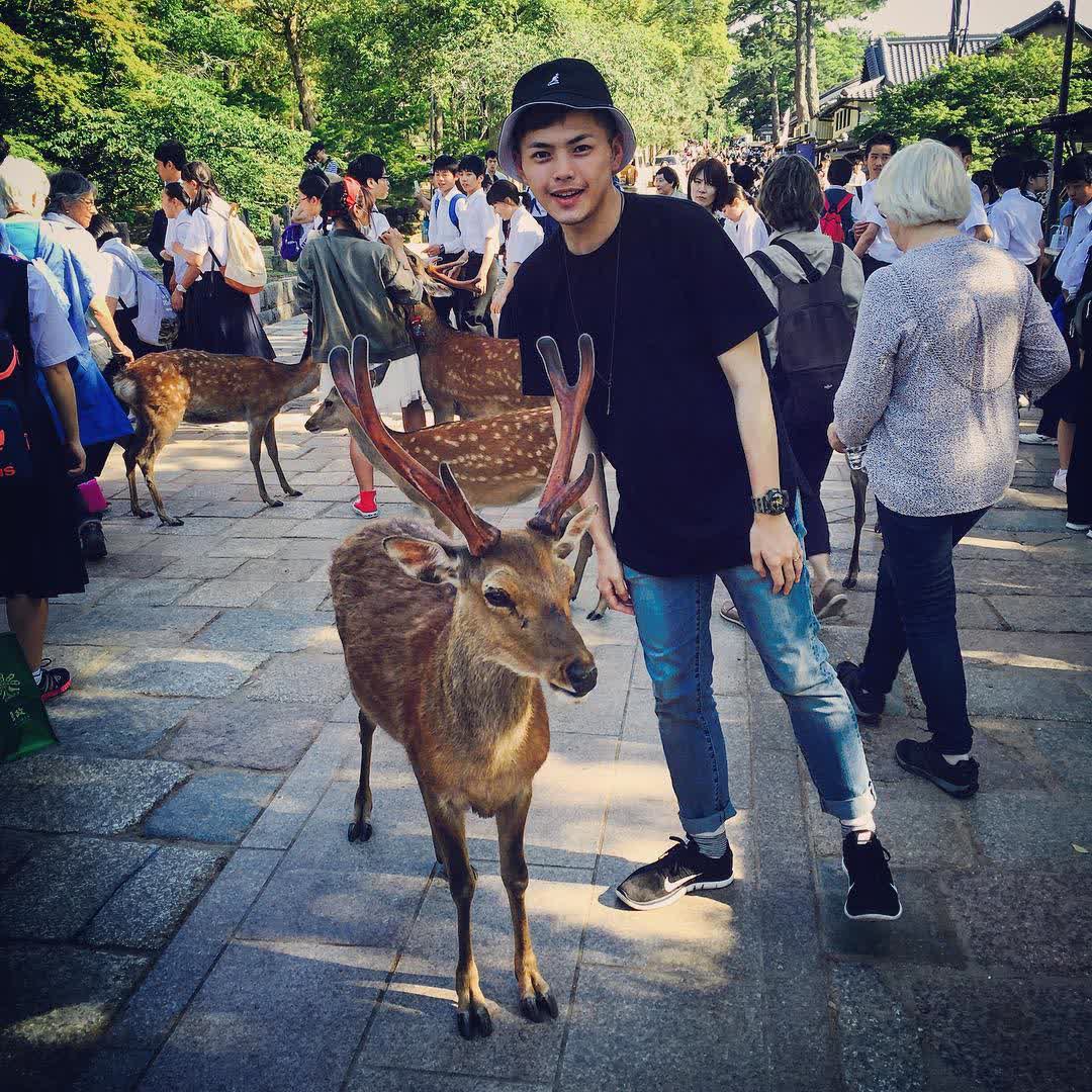 Tōdai-ji 東大寺 | 去趣 chicTrip