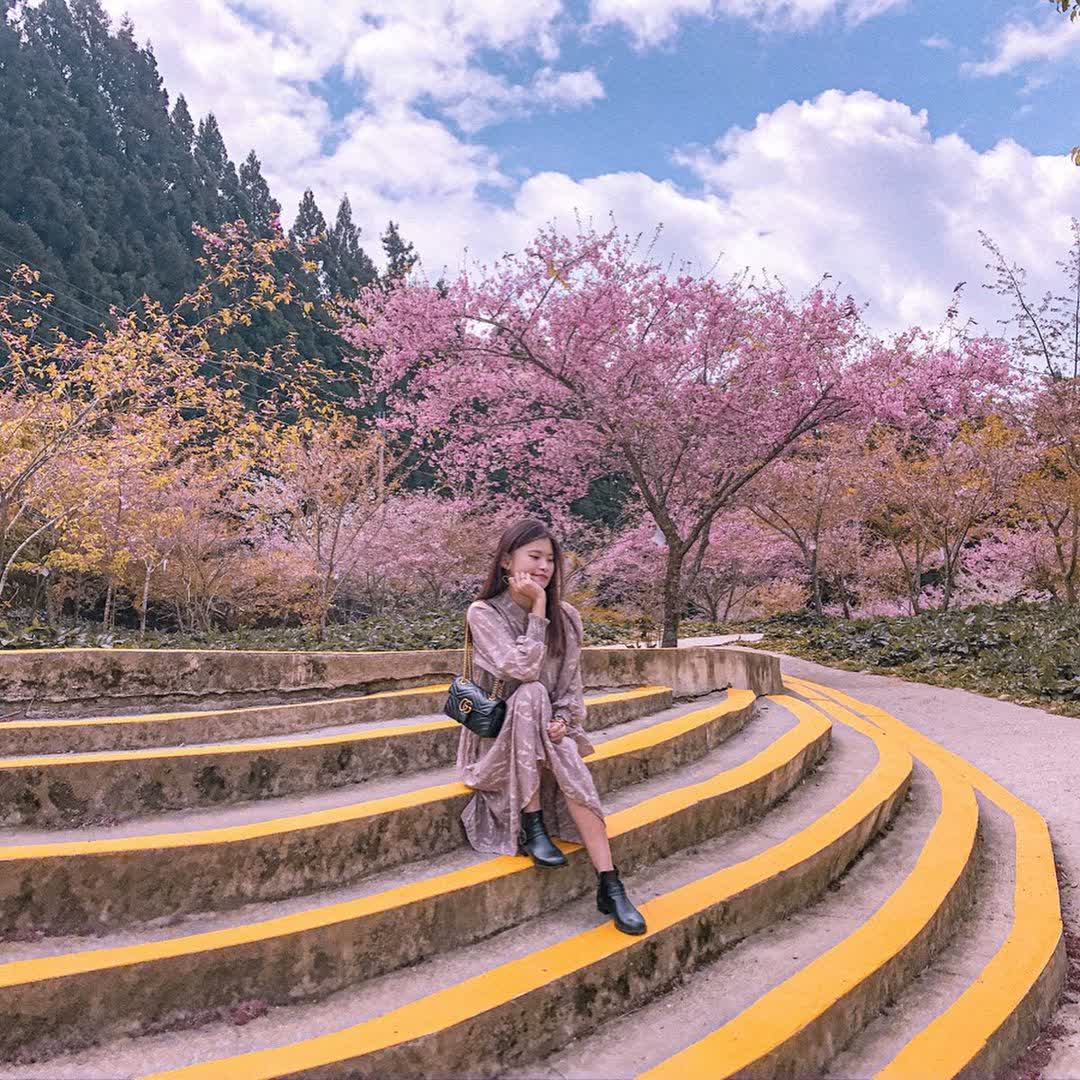 福壽山農場|千櫻園 | 去趣 chicTrip