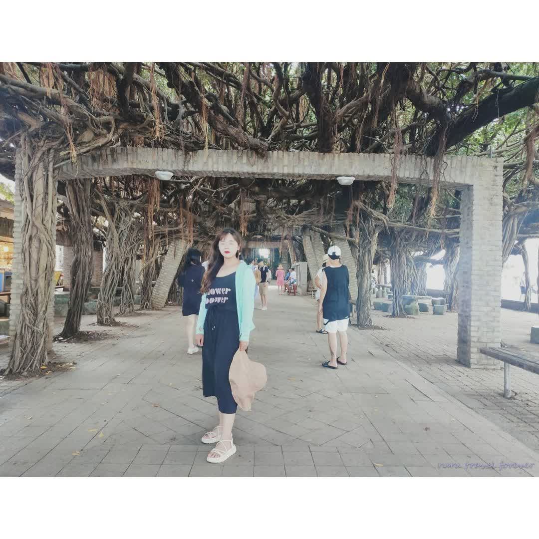 通梁古榕 | 去趣 chicTrip