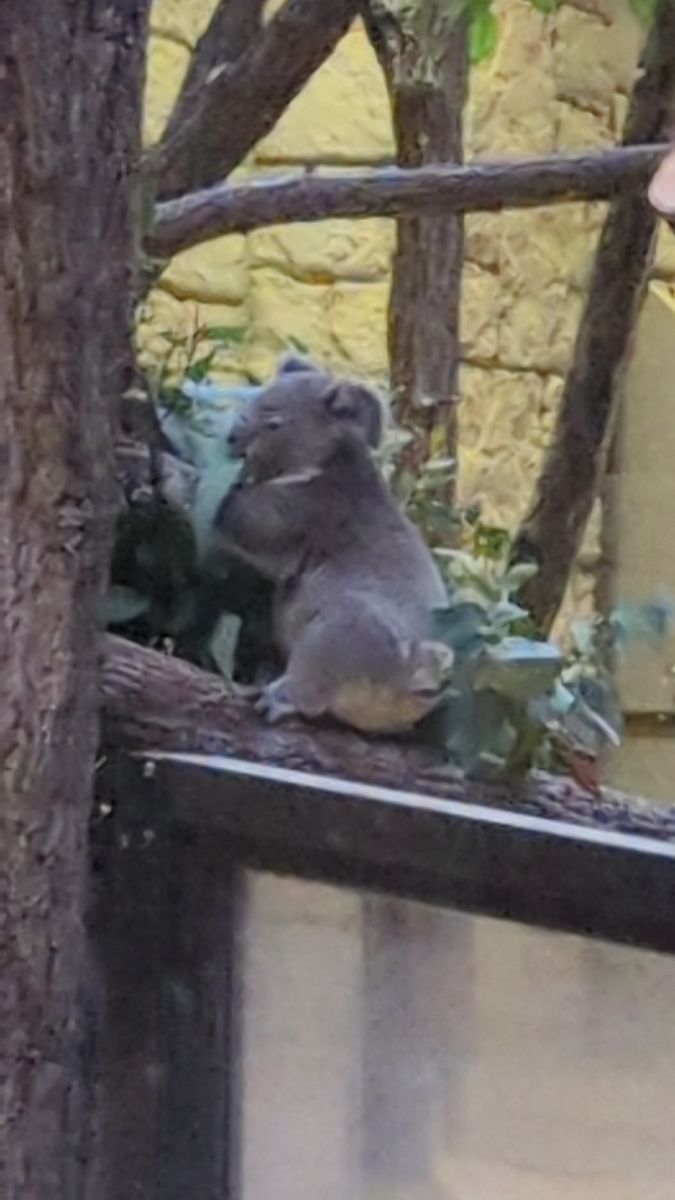 東山動植物園 | 去趣 chicTrip