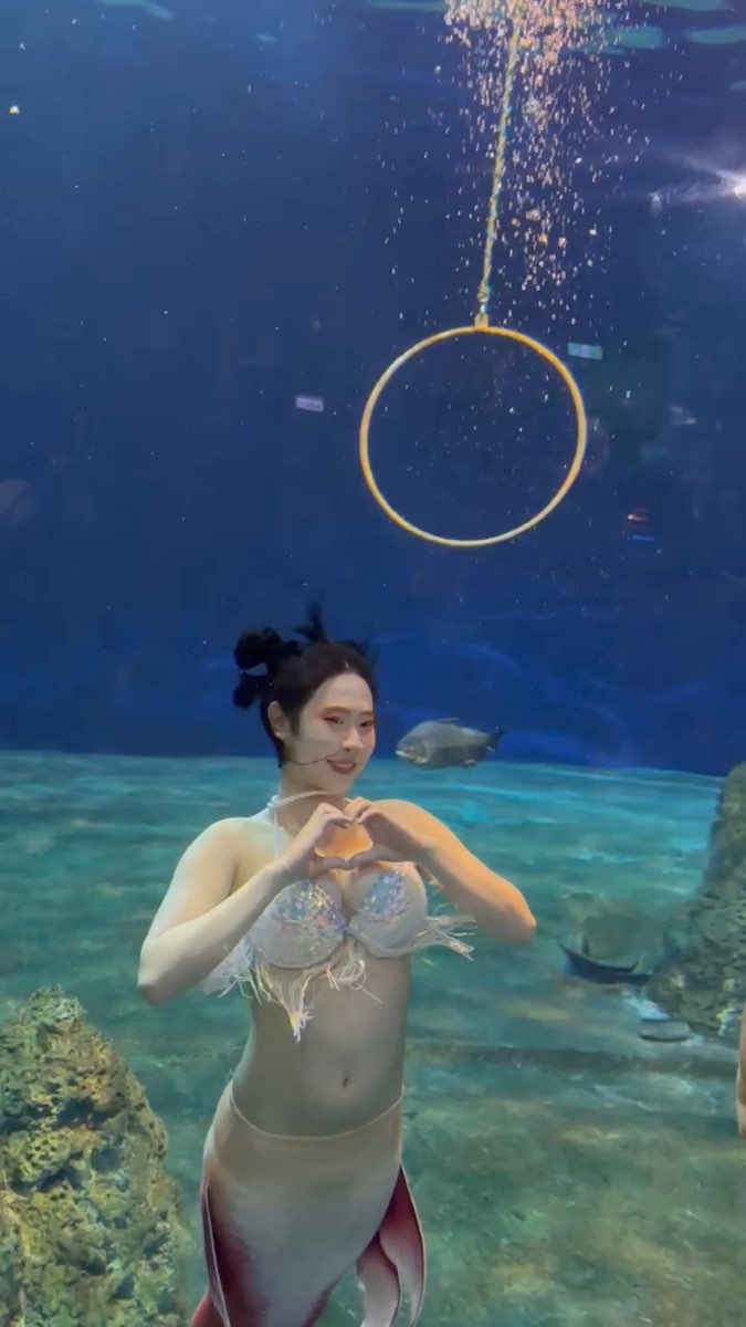 遠雄海洋公園 | 去趣 chicTrip