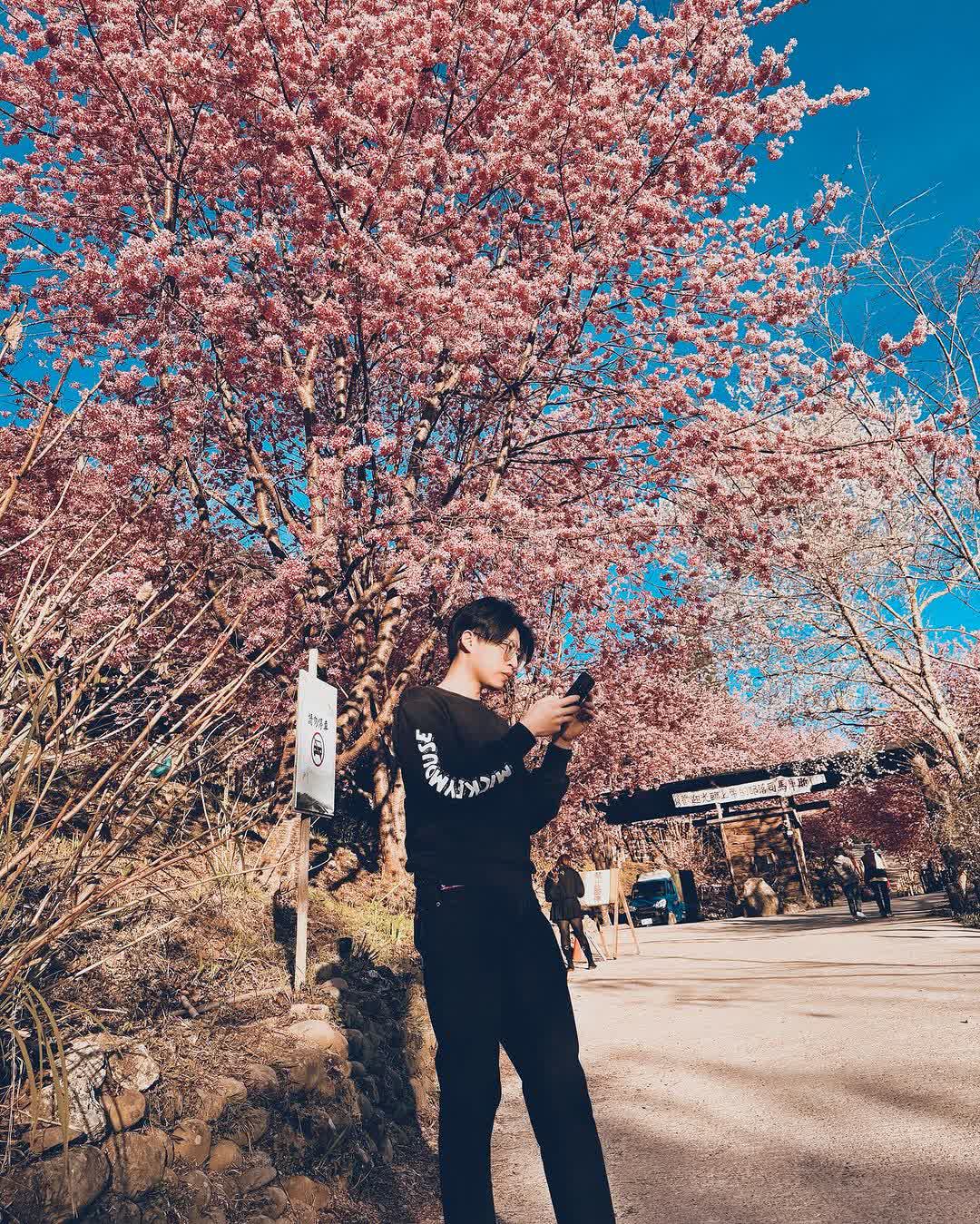 司馬庫斯 | 去趣 chicTrip